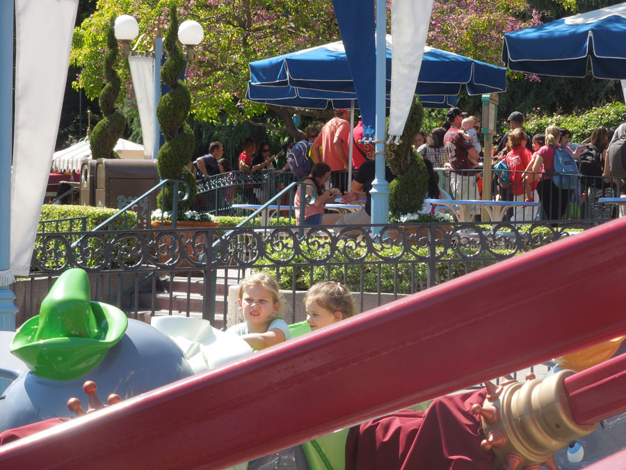 Disneyland Dumbo Ride Picture